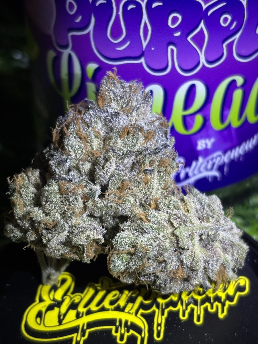 How it smokes it all that matters 
(&amp; they’re smooooking🔥💨)

but man, the bag appeal is unreal 👀

the purple limeade smells so good it has me taking nose hits off my scs all day after breaking it down 😮‍💨

<a href="/erlterpeneur/">Hat Trick Hash</a> 🙏 🔥🔥🔥
<a href="/mamiuvas/">Mamiiii</a> 🫡