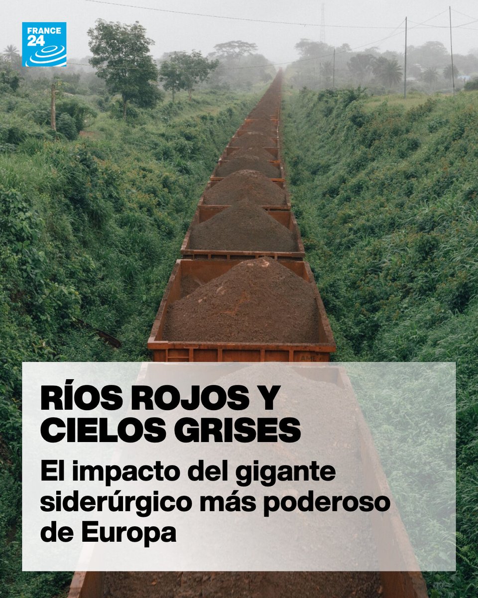 FRANCE 24 Español tweet media