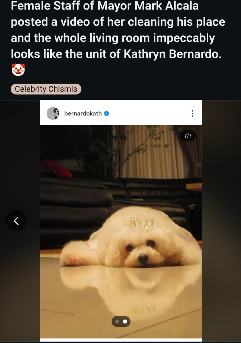 JaviNancybabe's tweet photo. Nasa Reddit na!
Sana hindi pa nasisante ang kasambahay ni Mayor Mark Alcala dahil nagflex na naglinis siya sa condo ni Kathryn Bernardo.
KathCakes, huwag kasi mayayabang lalo sa volleyball fans..Mas madami silang alam about sa jowa ni Katreng. #MarKath
https://t.co/taT20smQNH https://t.co/Skn04YXDdJ