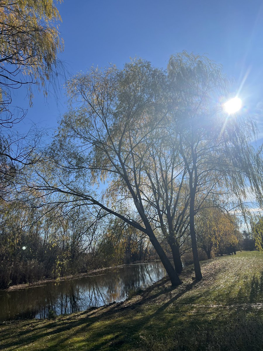 sukiwaterhouse's tweet image. what a gorgeous place that is so inspirational I just might write some songs here