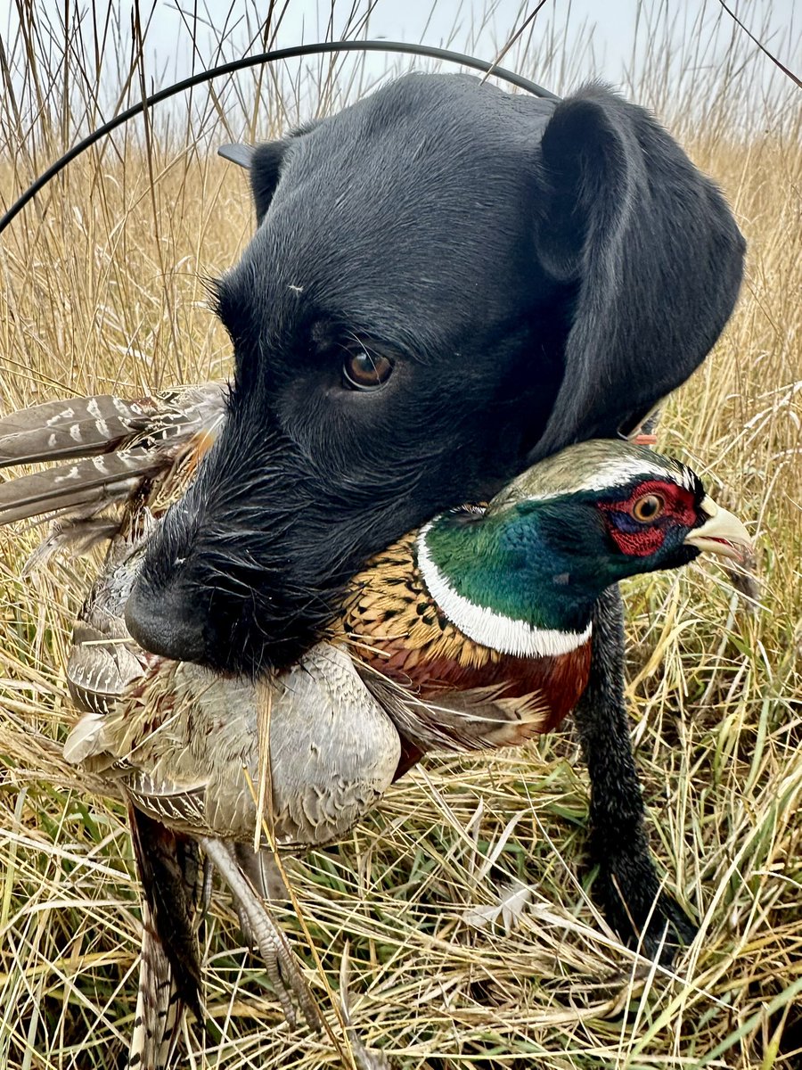 This one was slippery 🤣