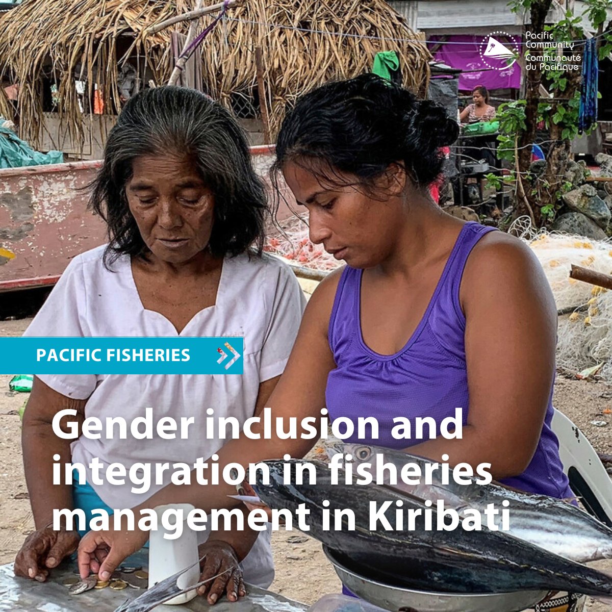 spc_cps's tweet image. #PEUMP is marking 7 years of partnership and shared success across our Blue Pacific. Vinaka vakalevu, fa’afetai, and a heartfelt Pacific thank you to all our partners and communities. 
🎥 bit.ly/3JIW3jf 
💻 bit.ly/48buvfz
#PacificFisheries  #SustainableFisheries