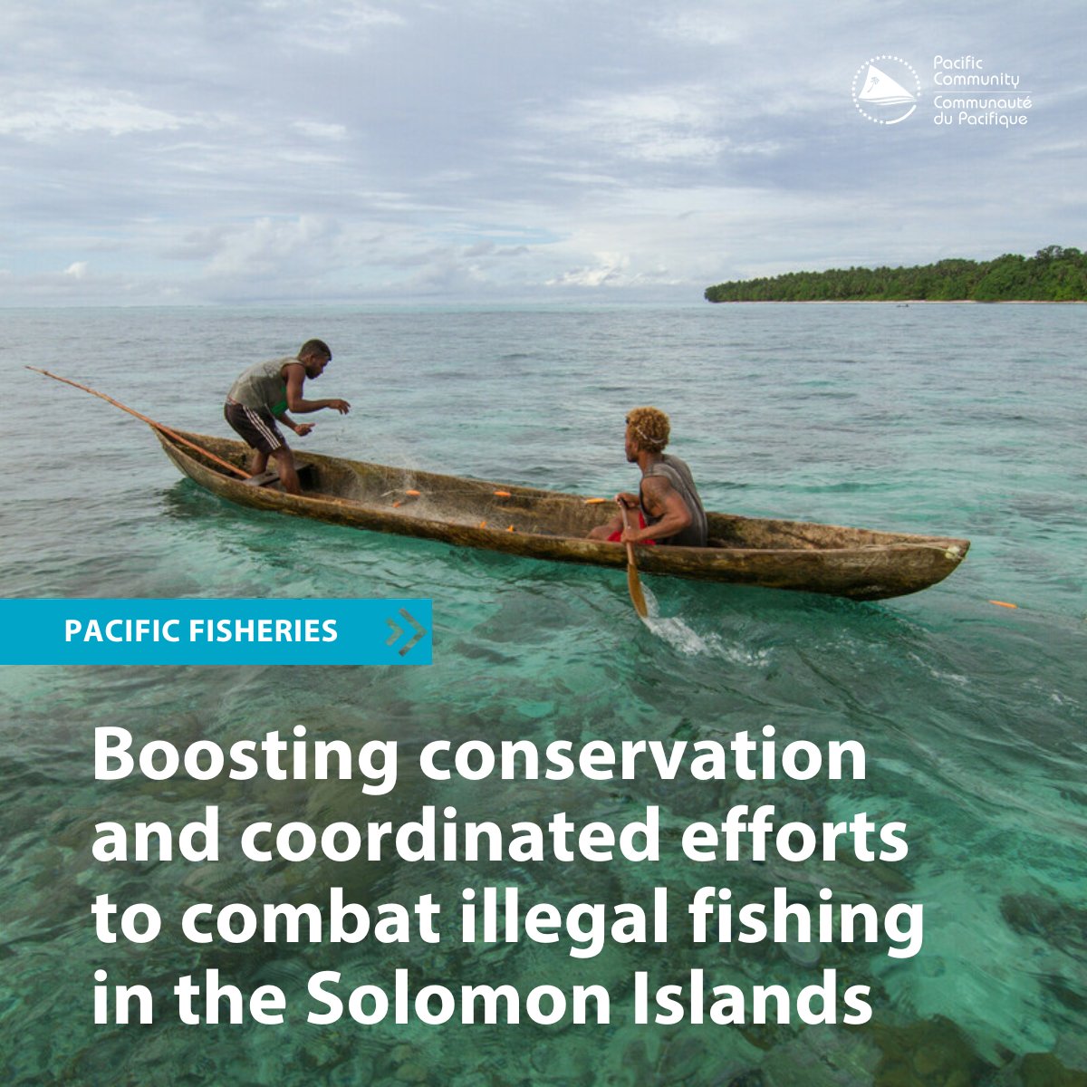 spc_cps's tweet image. #PEUMP is marking 7 years of partnership and shared success across our Blue Pacific. Vinaka vakalevu, fa’afetai, and a heartfelt Pacific thank you to all our partners and communities. 
🎥 bit.ly/3JIW3jf 
💻 bit.ly/48buvfz
#PacificFisheries  #SustainableFisheries