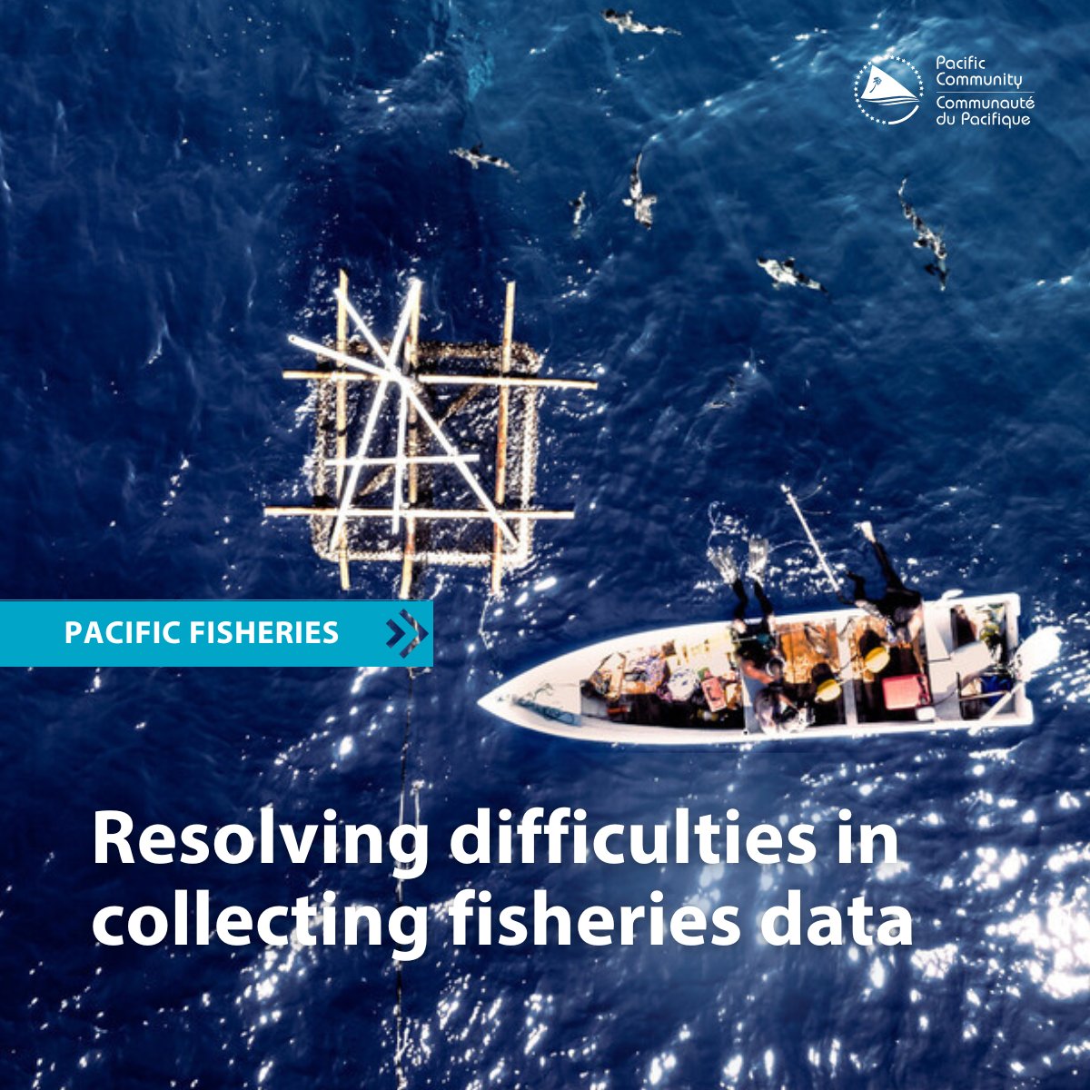 spc_cps's tweet image. #PEUMP is marking 7 years of partnership and shared success across our Blue Pacific. Vinaka vakalevu, fa’afetai, and a heartfelt Pacific thank you to all our partners and communities. 
🎥 bit.ly/3JIW3jf 
💻 bit.ly/48buvfz
#PacificFisheries  #SustainableFisheries