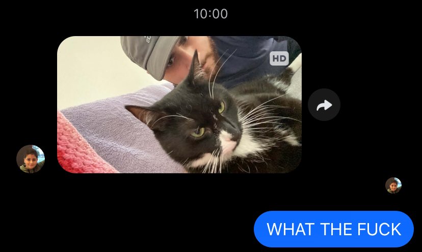 bf broke into my apartment mid day JUST take a selfie with my cat