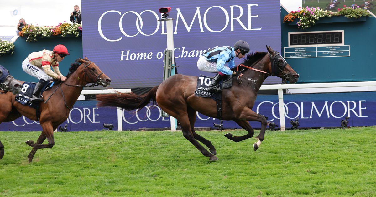 ANZ News tweet media