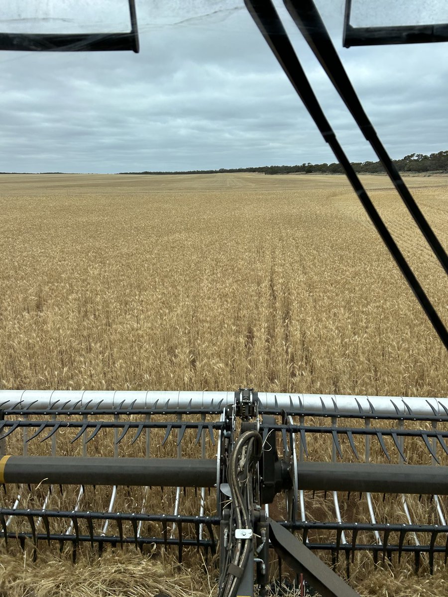 PJScoff's tweet image. Hard to believe these 2 photos were taken in nearly the same place! March22- Nov25.
Kudos to @james_cant_ for ripping the one ski 💪