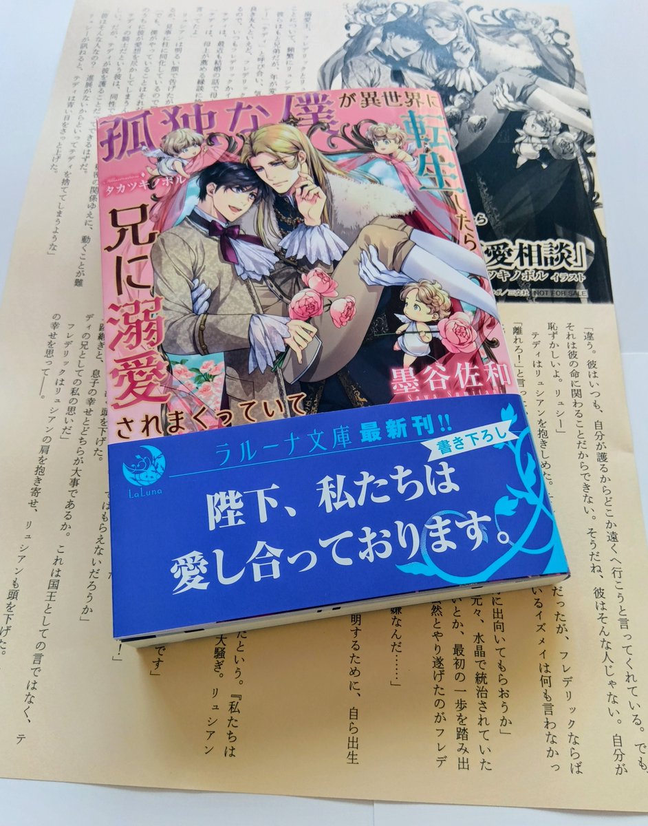 ラルーナ文庫新刊、本日発売です！
「孤独な僕が異世界に転生したら兄に溺愛されまくっていて」（墨谷佐和 　タカツキノボル：イラスト）
誰かに心から愛されたい…願いながら転生したら兄王子から溺愛される日々が待っていた。
lalunabunko.com