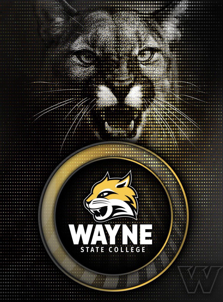 greyson_scott70's tweet photo. After a wonderful call and camp with @willanglin13 I’ve received my first D2 offer to play @wscwildcats 
@NENextt @PrepRedzoneNE 
@michael2rerucha @ScotusFootball https://t.co/BsB0nbhLDf
