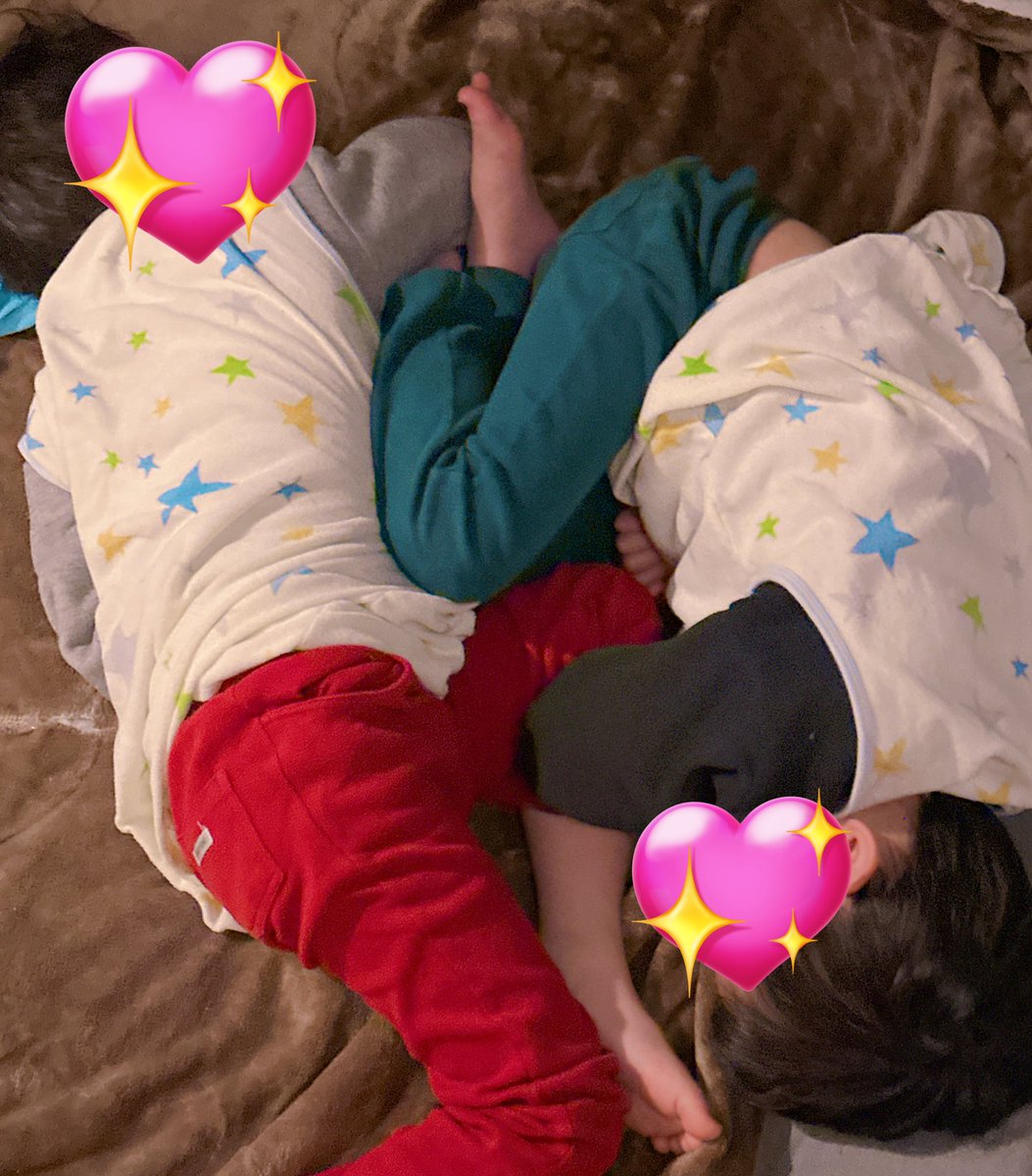 yaseru_monapi's tweet image. 朝起こそうとしたら、☯︎まがたまになってた二人w
いっつもくっついて寝てるの可愛いなw