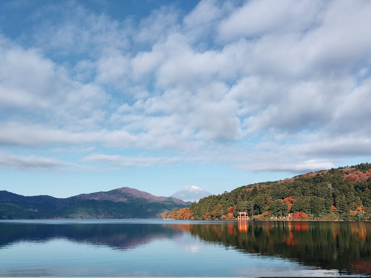 今朝は早く起きて一人で散歩しました。感謝しています。