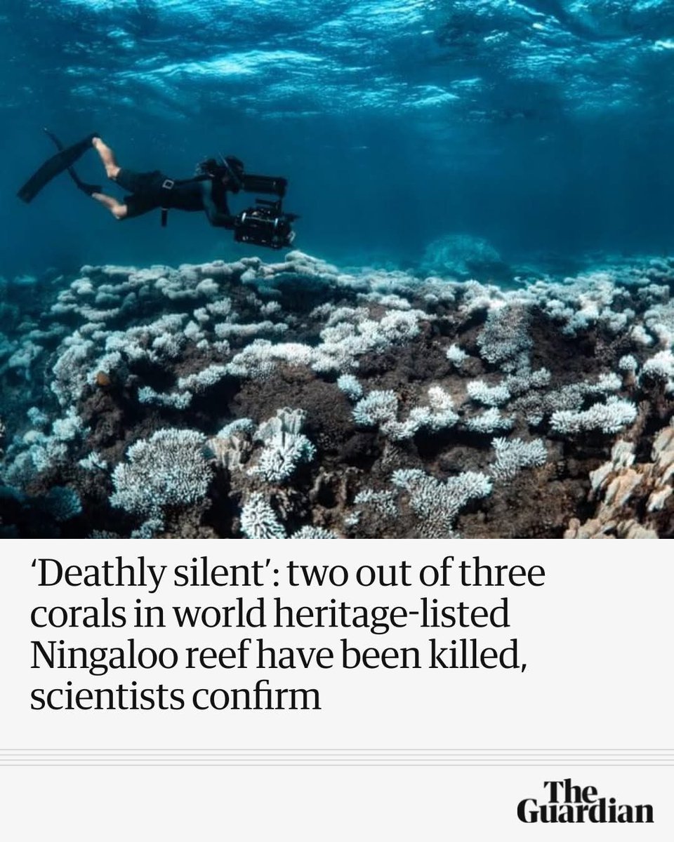 AussieGayLib's tweet image. Extremely sceptical