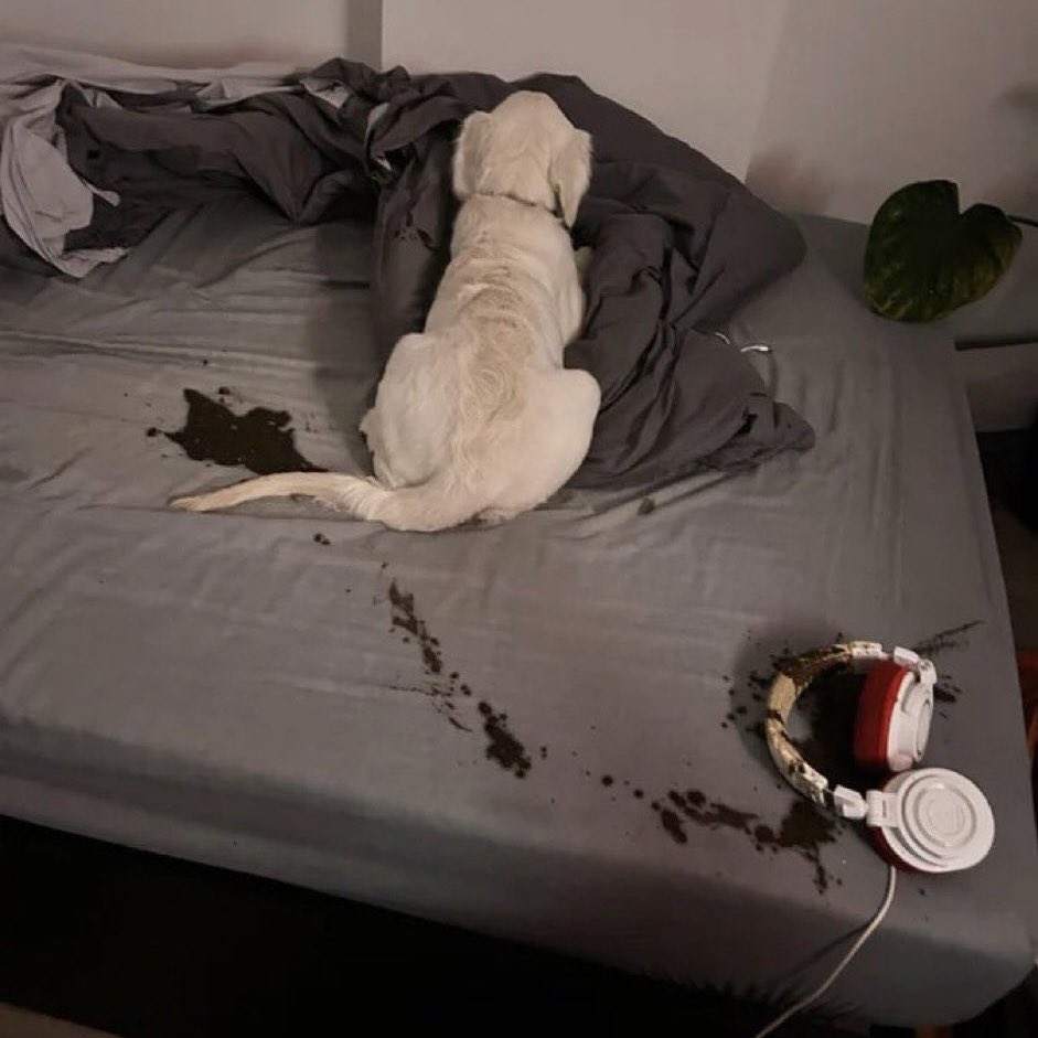 Iuhwalk's tweet image. actually turned my volume up to hear dis guy out for once