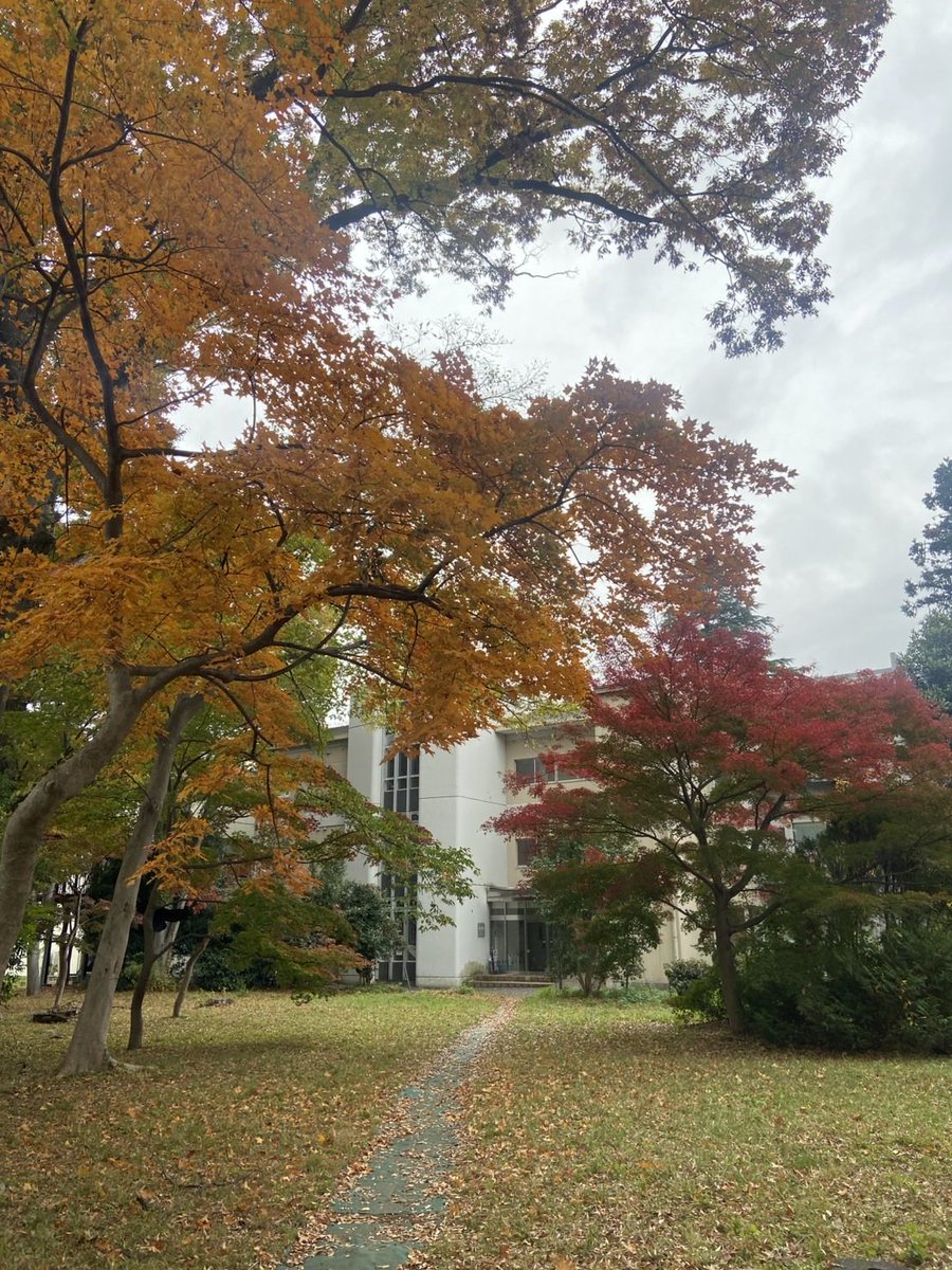 hashimo1230's tweet photo. 秋🍂が進む学芸大。。 https://t.co/sqIRkb2e4y