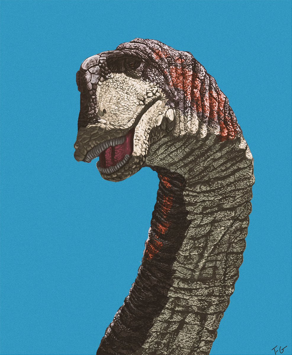 Tessasaurus_rex's tweet image. Use only ONE art piece to convince people to follow you