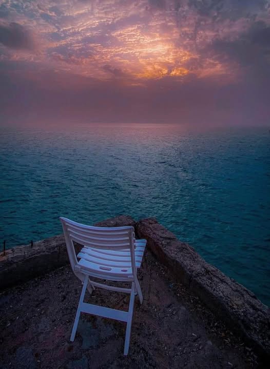 vasiliskostop's tweet image. Need