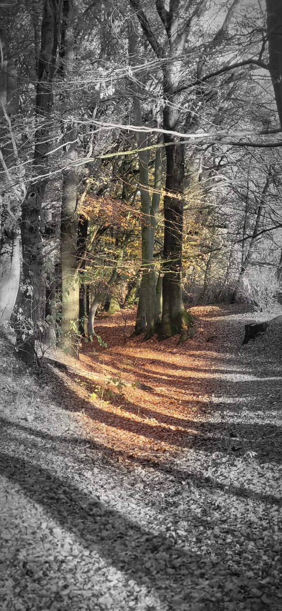 USiebmann's tweet image. Ein schönen Abend noch an Euch