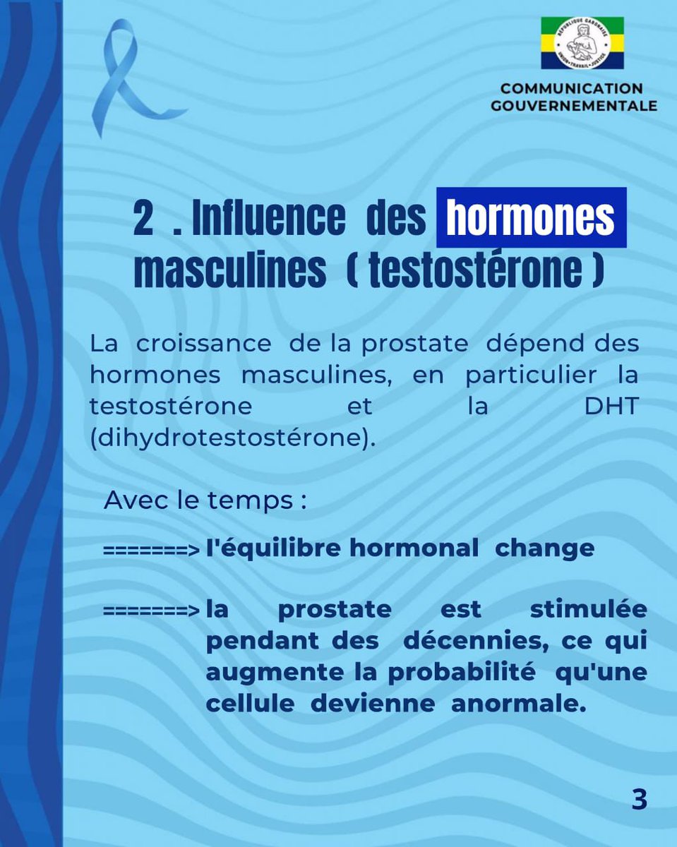 Comgouv_GA's tweet photo. [NOVEMBRE BLEU 2025]

Pourquoi le cancer de la prostate touche-t-il les hommes à un âge avancé ? Découvrez, à travers ce carrousel, les principales raisons pour lesquelles cette maladie apparaît souvent après 50 ans.

#ComGouv #communicationgouvernementale https://t.co/zarBOCXxi7
