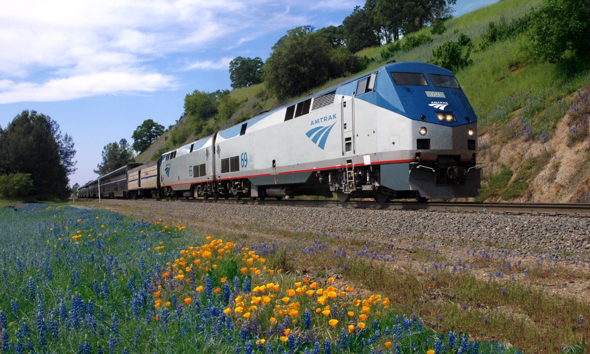 METROmagTweet's tweet image. 🚆 @Amtrak sets new records in FY25 with more riders, more revenue, and better service. The company just wrapped its fiscal year with big milestones.

🔗Learn more: loom.ly/ouLx4oE

#Amtrak #TrainTravel #PublicTransit #RailExpansion #METRO