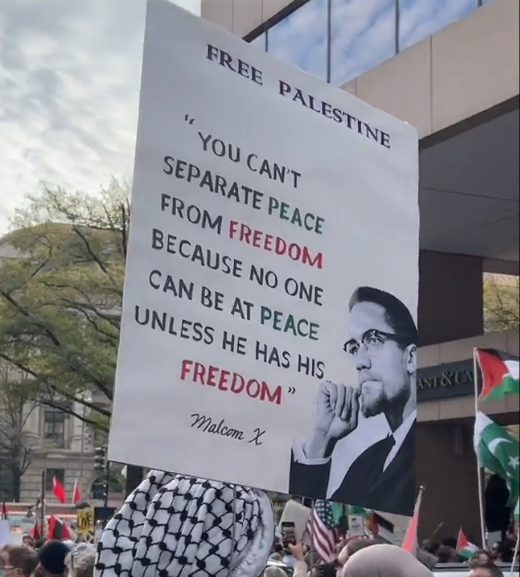 <a href="/FranceskAlbs/">Francesca Albanese, UN Special Rapporteur oPt</a>