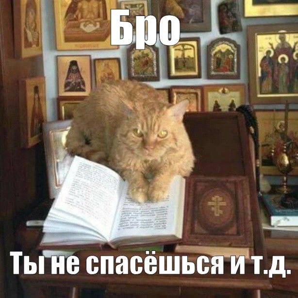 notciville's tweet image. 