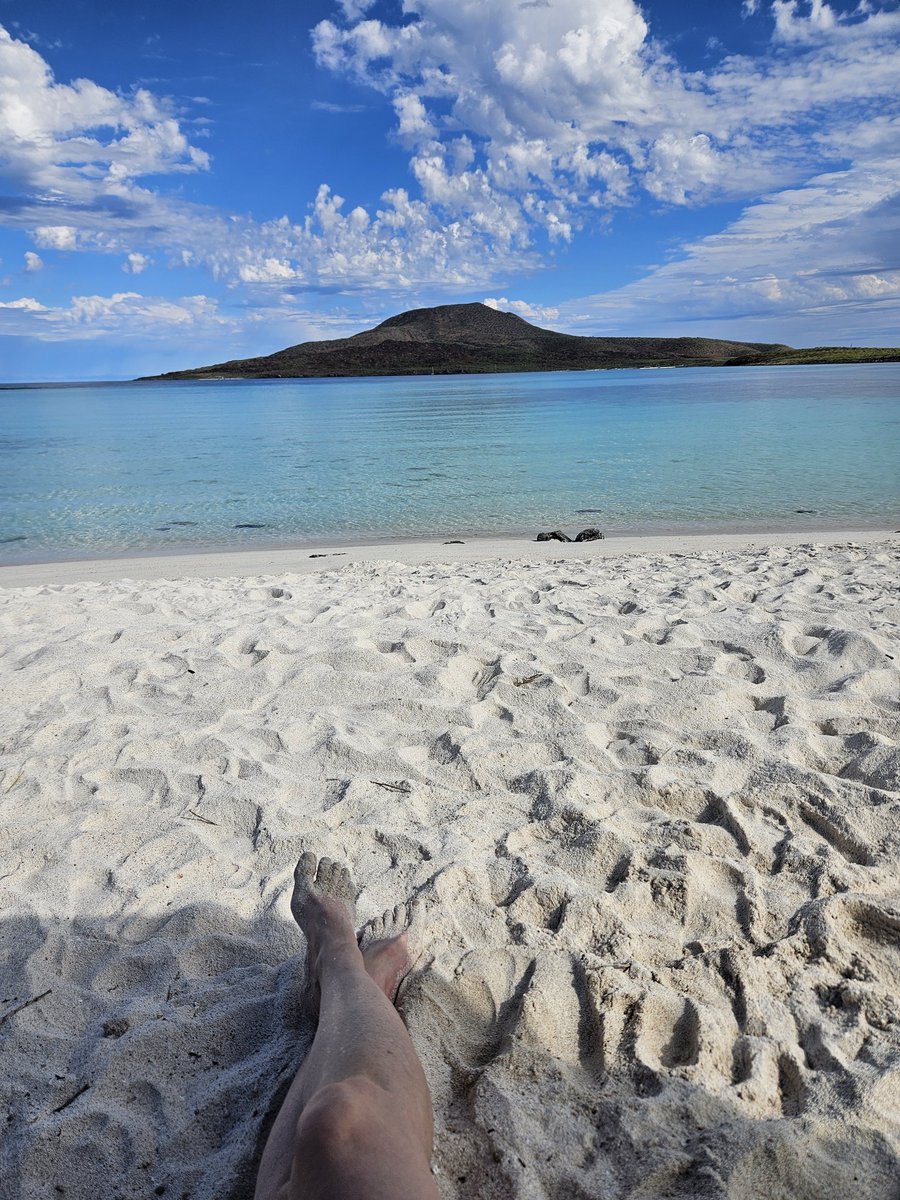 Swim spot for today 🌴🤿