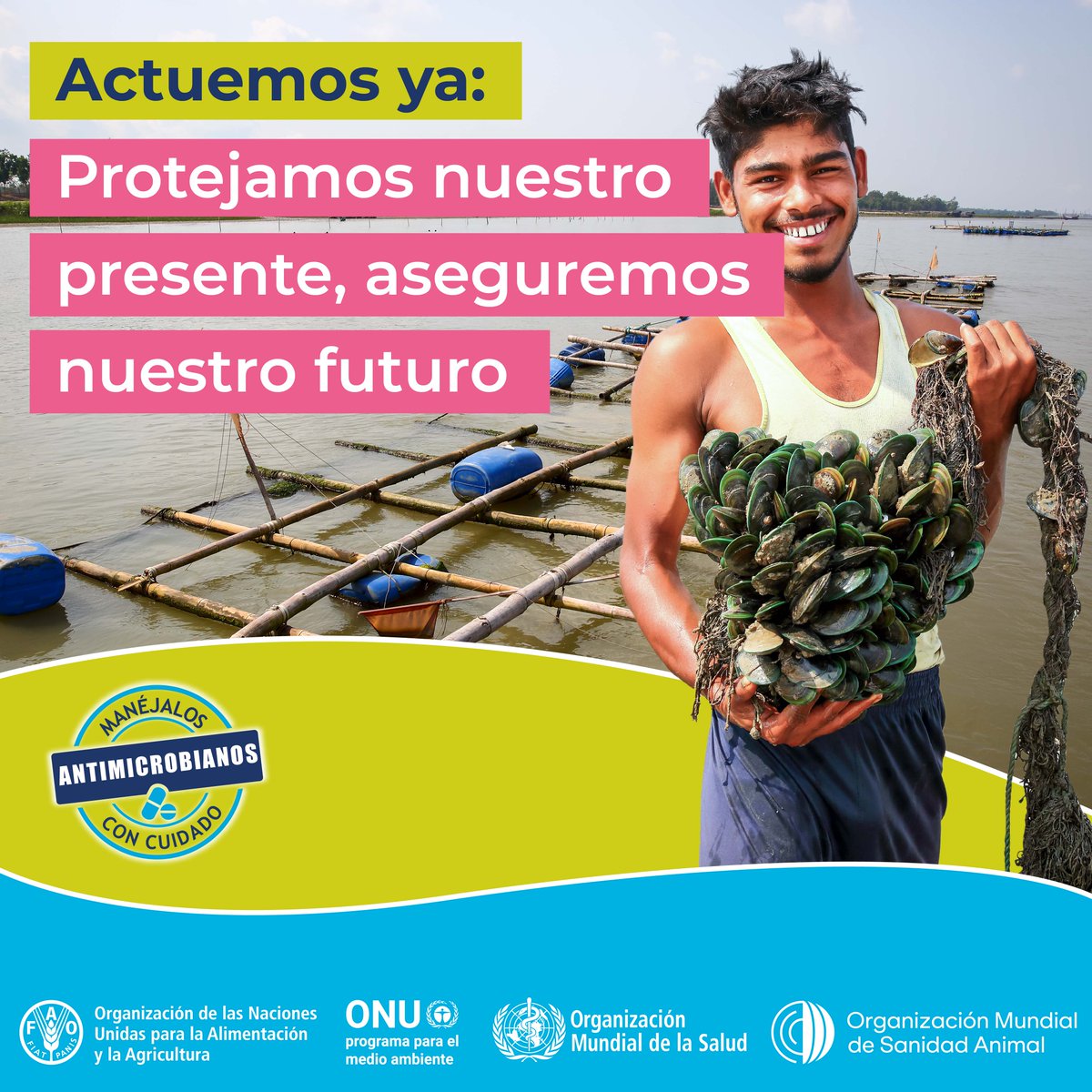 FAOAmericas's tweet photo. La #ResistenciaAntimicrobiana amenaza a los animales, plantas, suelos, agua y ecosistemas, socavando la producción de alimentos y los medios de vida de más de 1500 millones de agricultores🌱

👉https://t.co/nGQGTAXm7X

#SemanaRAM #WAAW https://t.co/VnKTghPqVi