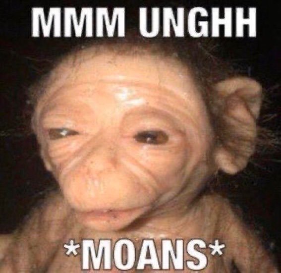 mausiOC's tweet photo. @dread_coyote IFNKWJDUWU https://t.co/mZo0fp31Zl
