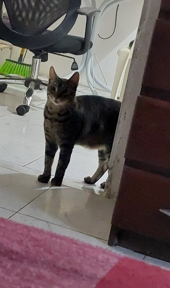 ࣪✦𖤐.SHENNY.𖤐 ࣪✦ tweet media