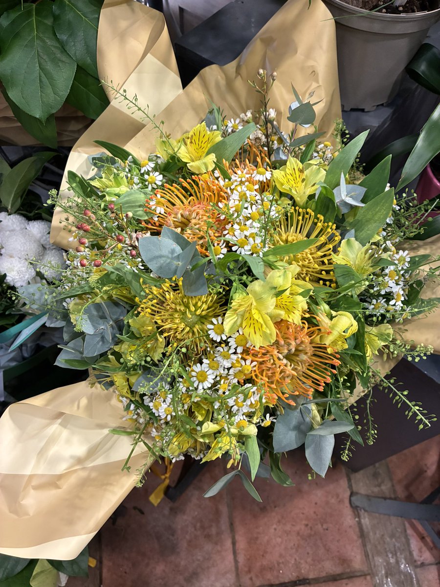 svbrwnd's tweet image. Journée productive Al HamdulliLlah