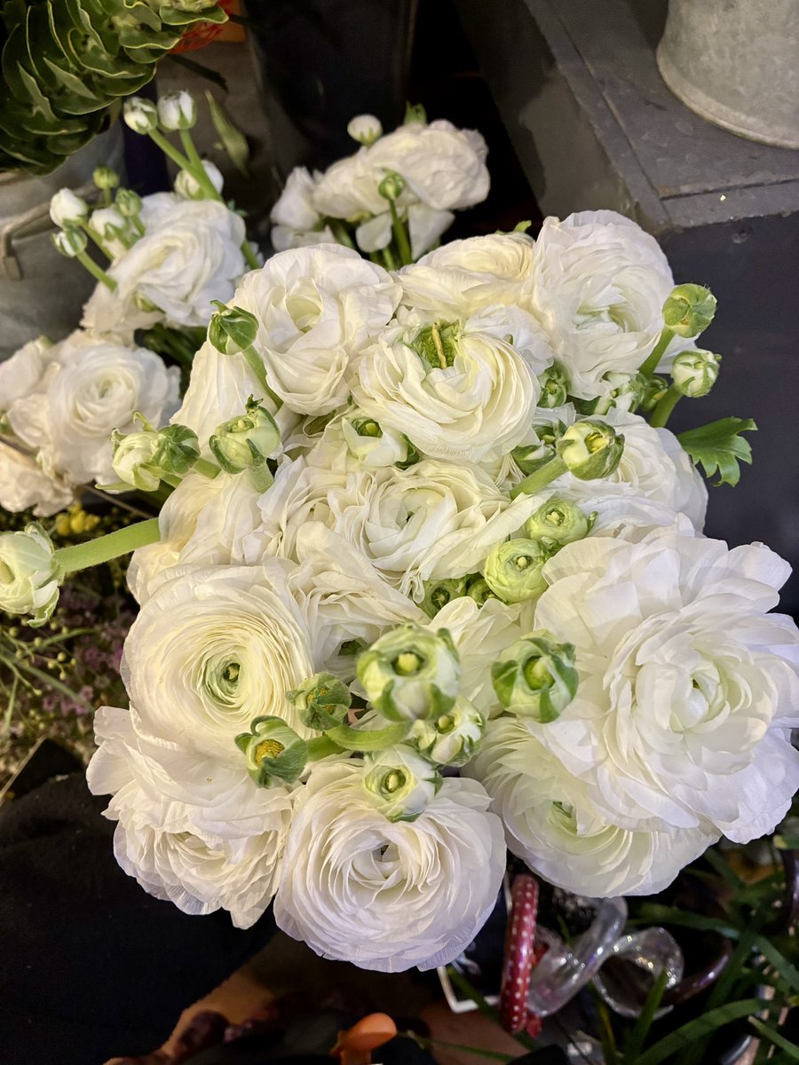 svbrwnd's tweet image. Journée productive Al HamdulliLlah