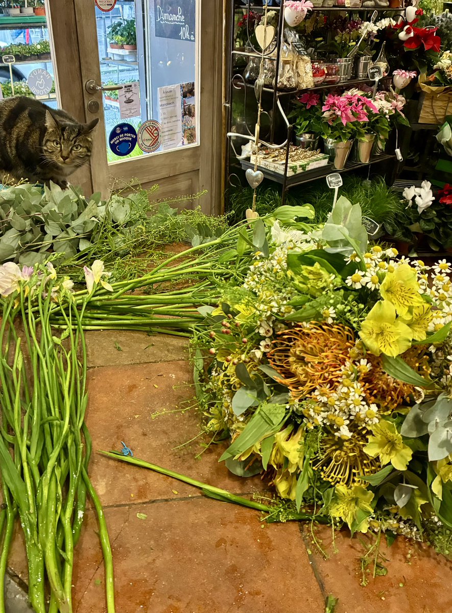 svbrwnd's tweet image. Journée productive Al HamdulliLlah