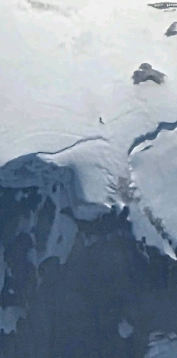 A man was flying back to Washington state taking random pictures and spotted this. Is it a tree? A rock? A BIGFOOT? You be the judge. I do see a walk trail with tracks and a shadow.