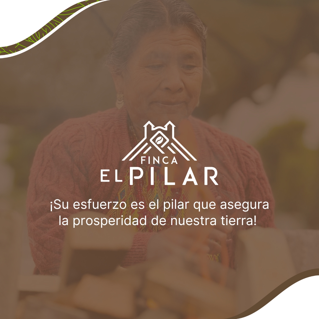 ¡El conocimiento de hoy es la abundancia del mañana! 🌱

#DesarrolloComunitario #Sostenibilidad