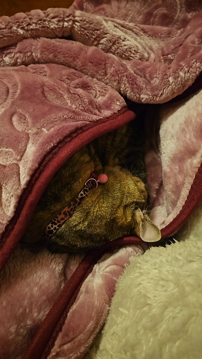 من 3 د العشية وهي ناعسة🥴🥴
مخليت كاندي نوضي والوووو حالفة