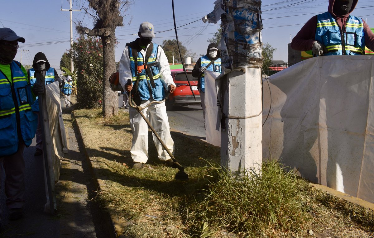Llevamos a cabo la limpieza general del camellón central de la avenida Juárez, realizando deshierbe, poda y la recolección de basura y excedentes.🍃🧹
¡Trabajamos diariamente por un #SanLuisAmable! 🩷
