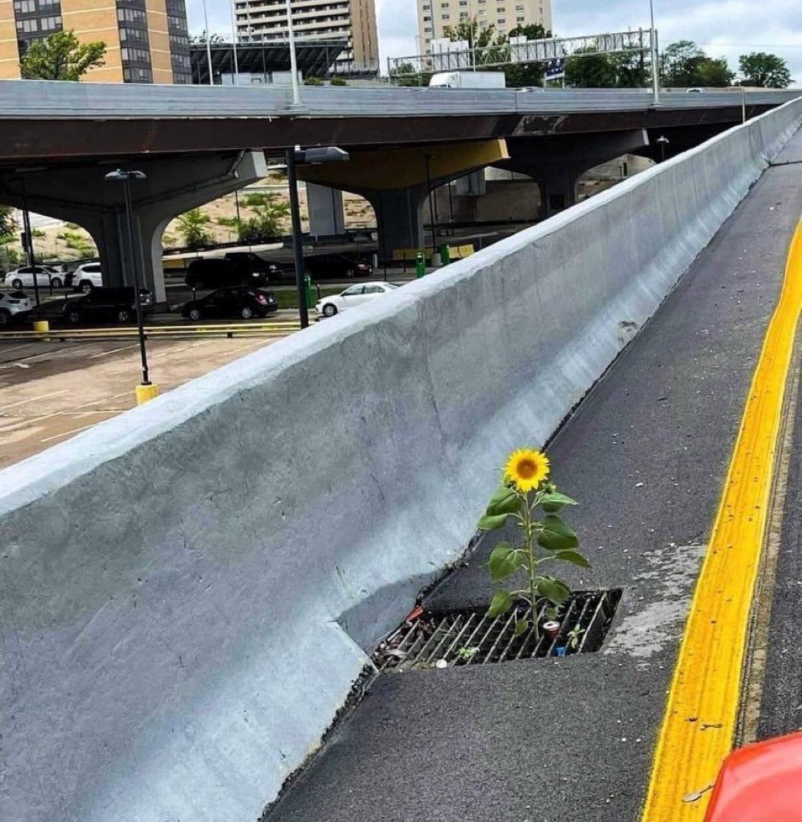 تفائل مهما كانت الظروف حواليك ..