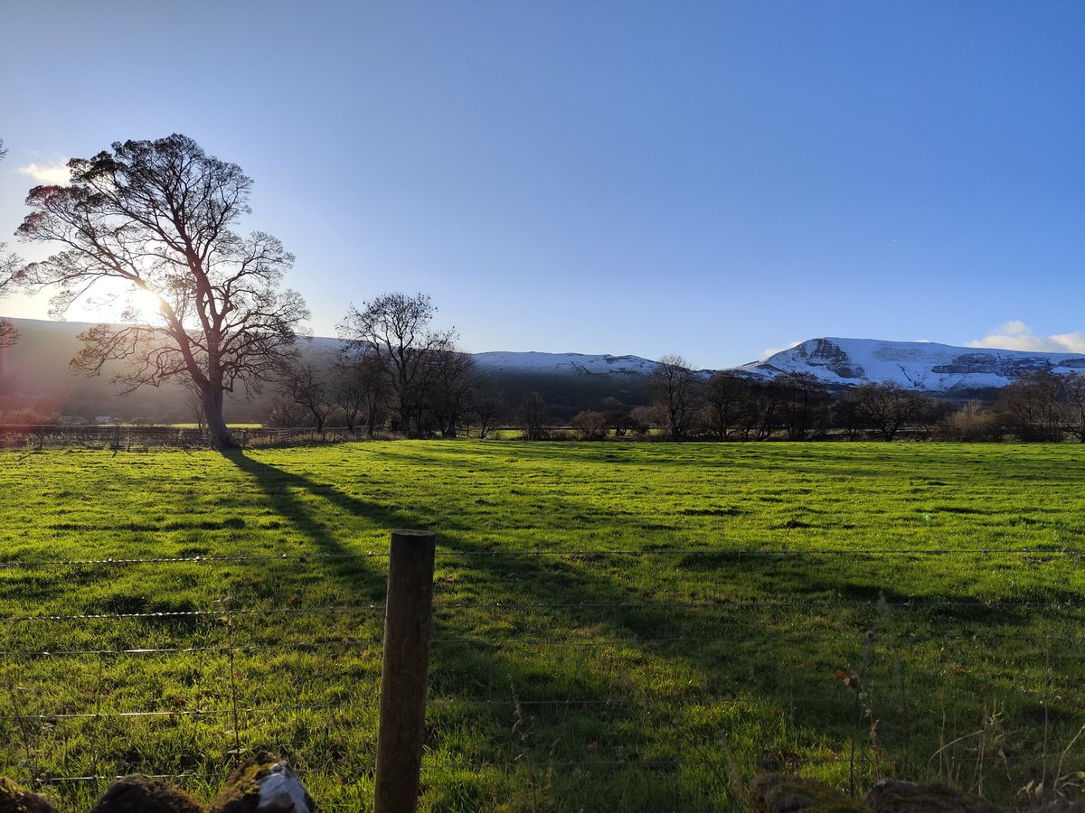 LuminousToad's tweet photo. today I walked five miles and had bangers and mash for tea  🌨️🏰 https://t.co/wFUx6obQgd