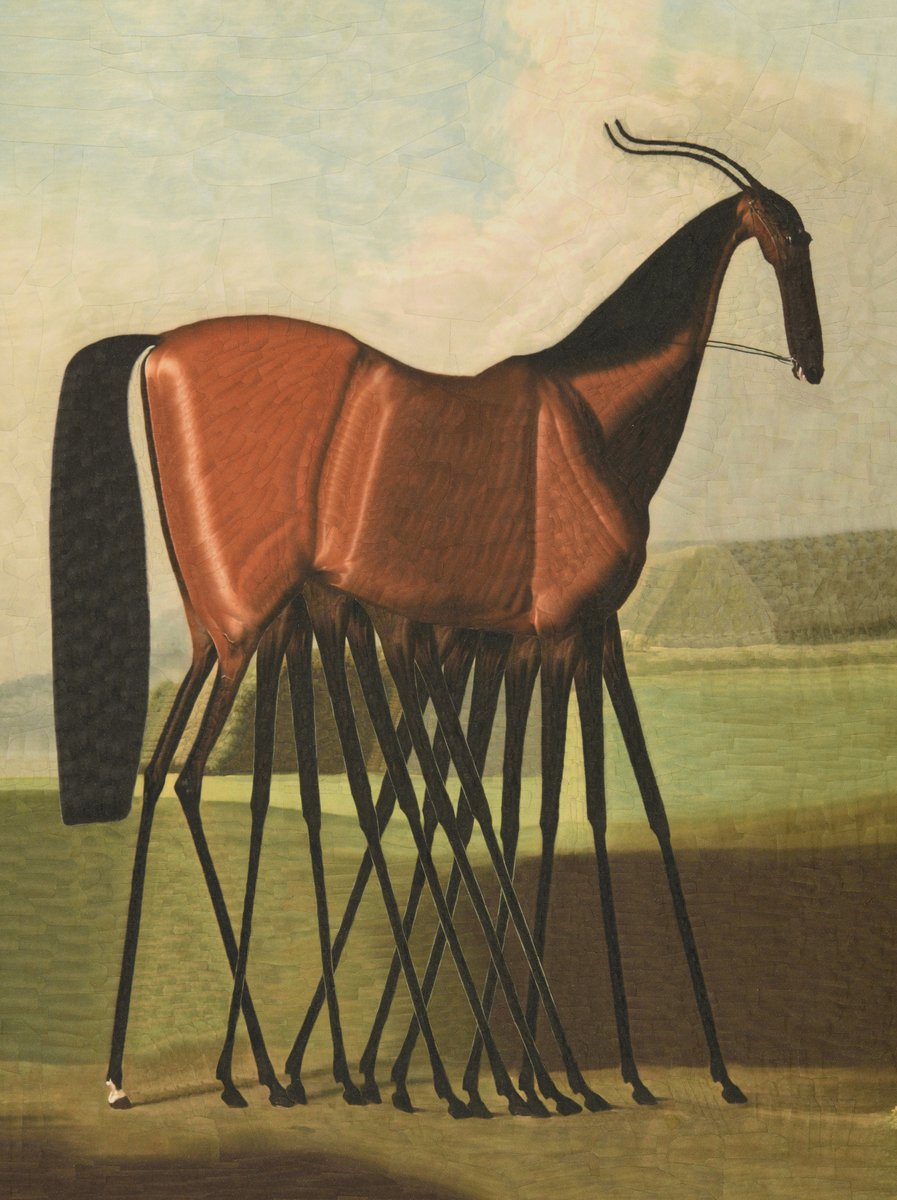 loladupre's tweet image. Molly Long Legs after Stubbs