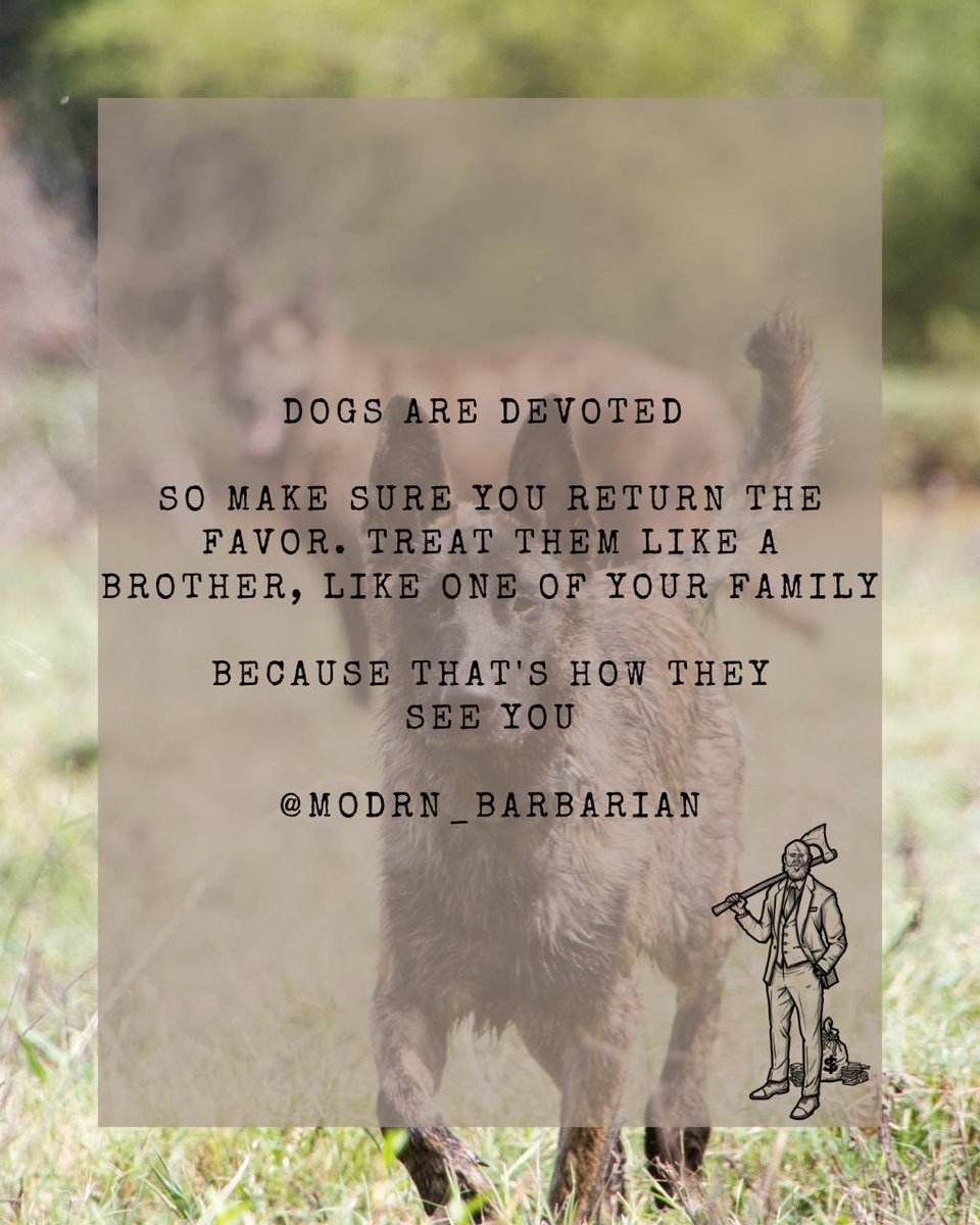 Modrn_Barbarian's tweet image. 