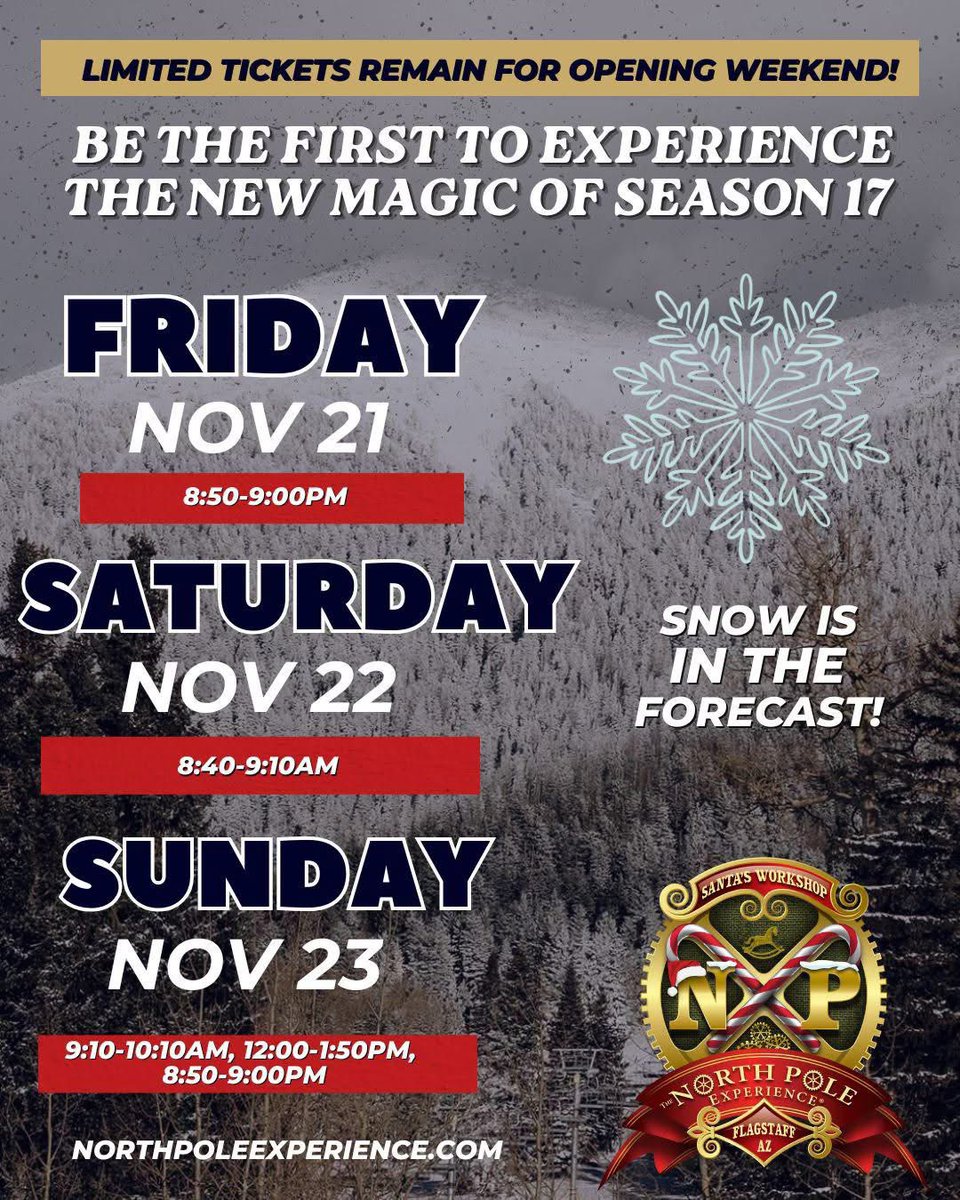 NorthPoleExperience tweet media