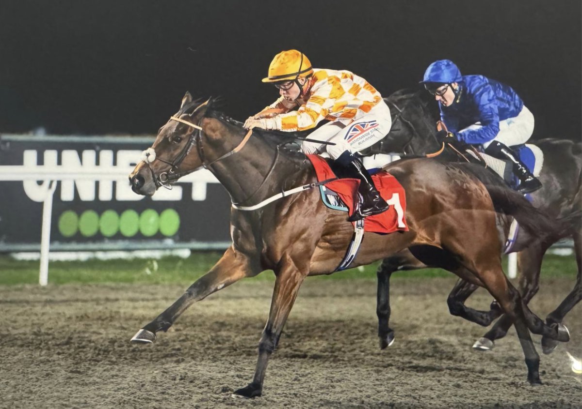 An across the card double this evening <a href="/kemptonparkrace/">Kempton Park Racecourse</a> for <a href="/ryankavanagh01/">Ryan kavanagh</a> as One And Gone followed Uniting into the winner's enclosure by taking the <a href="/UnibetRacing/">Unibet Racing</a> Novice 

These wins take our UK flat total to 69, just one shy of our score in 2024

👇
bit.ly/30sz3Oy