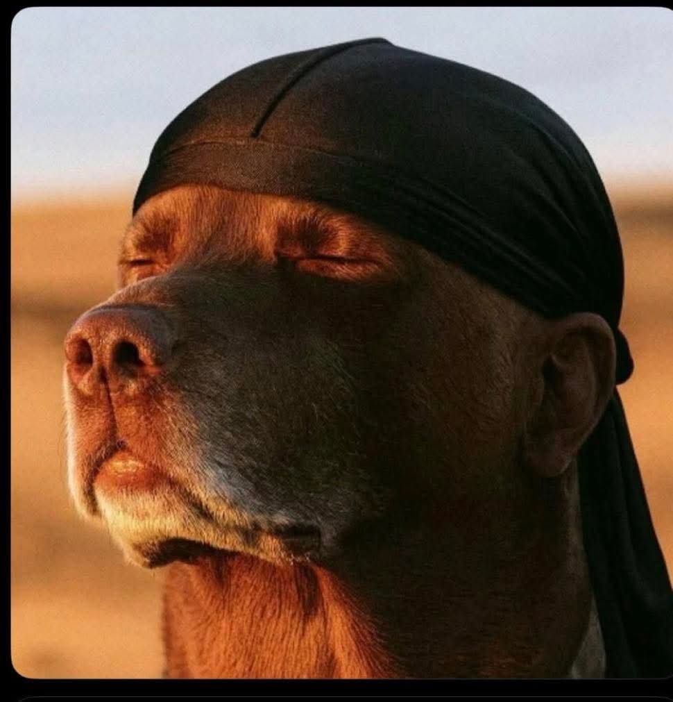 KeepsitSimple89's tweet image. Me getting laughed at every year I go to Japan because I can&apos;t speak the language or use chopsticks.