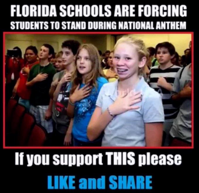 RightPulseNewss's tweet image. Do you support this?

YES or NO?