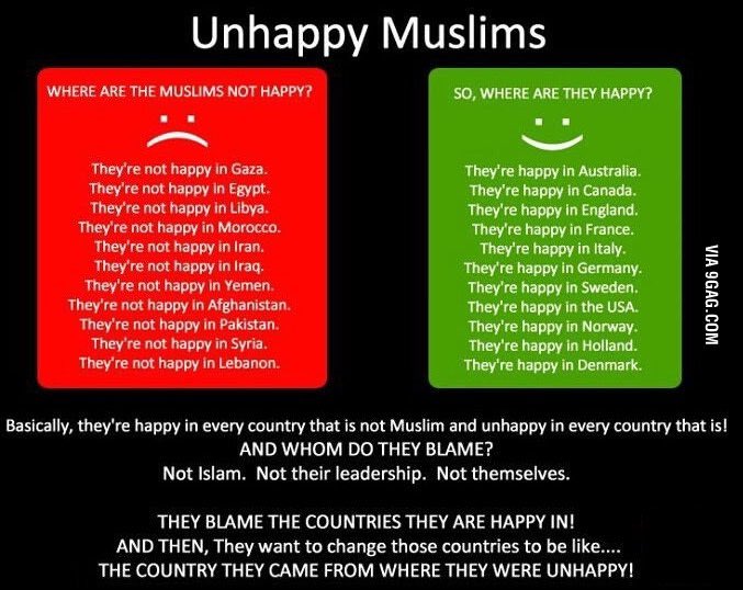 patrik tapper tweet media