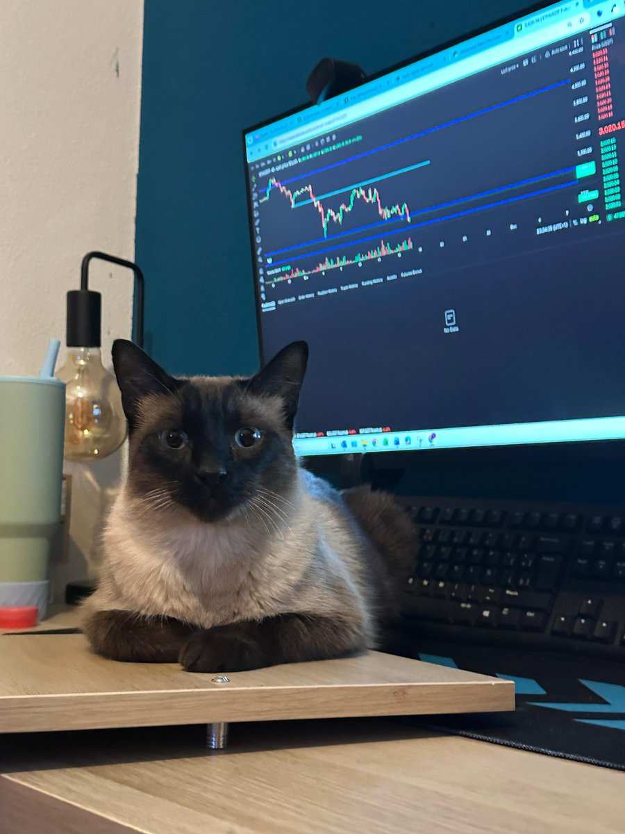 Hello, my name is José Mauricio (Maui) and I'm your financial advisor 🩶