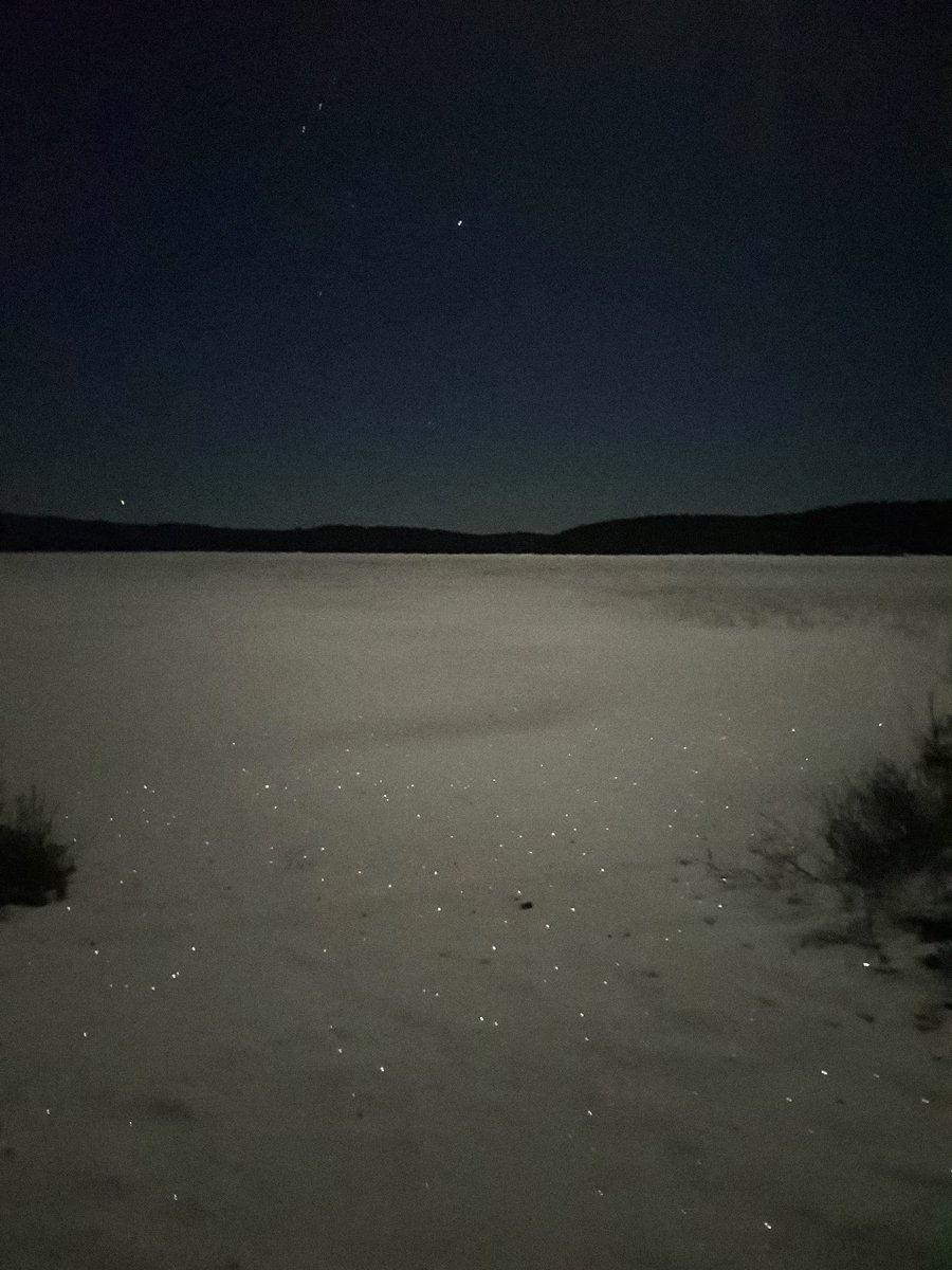 The world sparkles ✨