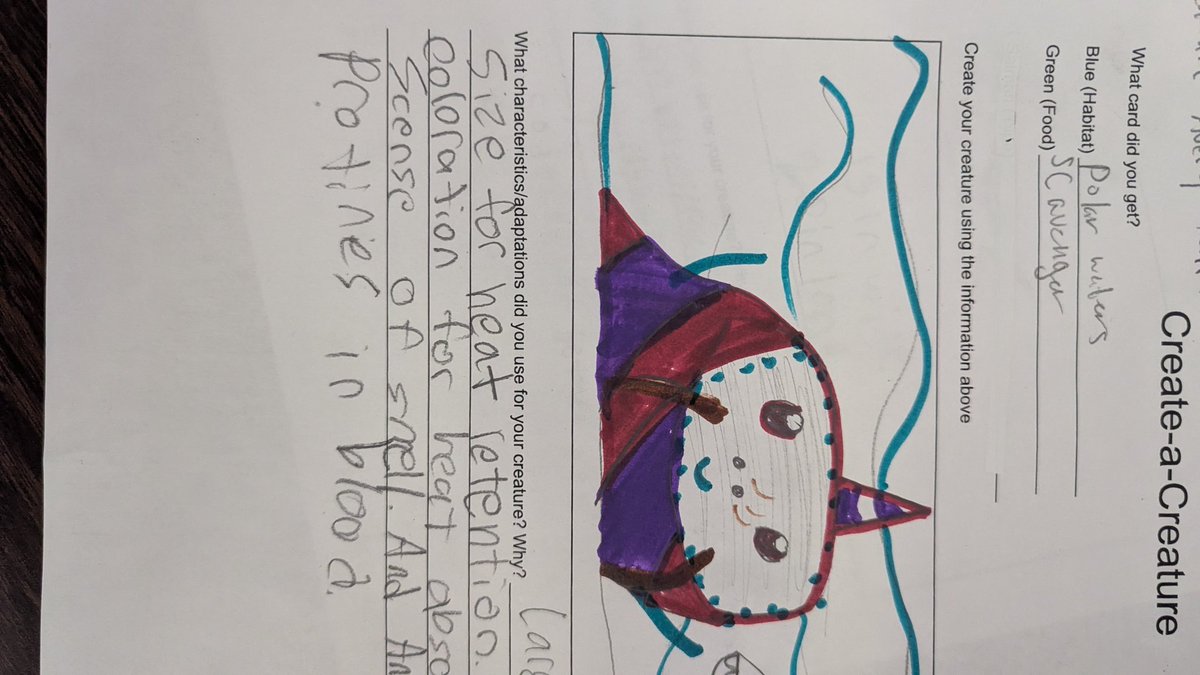 PhelpsCenter's tweet image. Ocean explorers drew random foods and habitats, then worked in teams to design a creature who could survive those conditions. #ChallengeWeek #TeamGifted