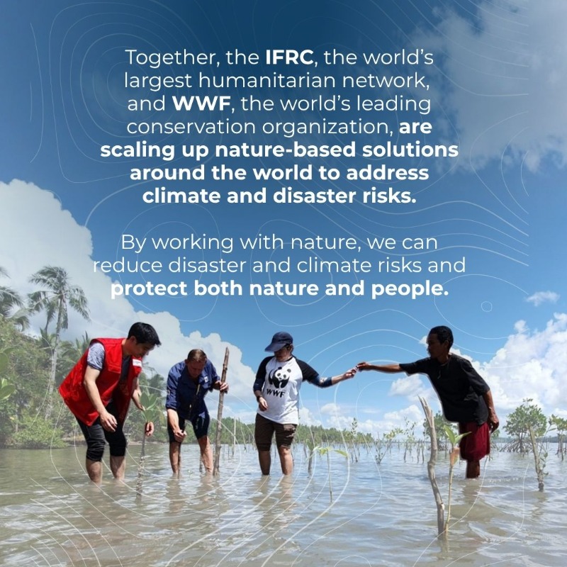 ifrc's tweet photo. We can’t protect people without protecting nature.

That’s why @IFRC &amp; @WWF continue joining forces. At #COP30, we present our roadmap: the next phase of our partnership to scale up nature‑based solutions, tackle climate disasters, protect communities, &amp; restore ecosystems. 👇