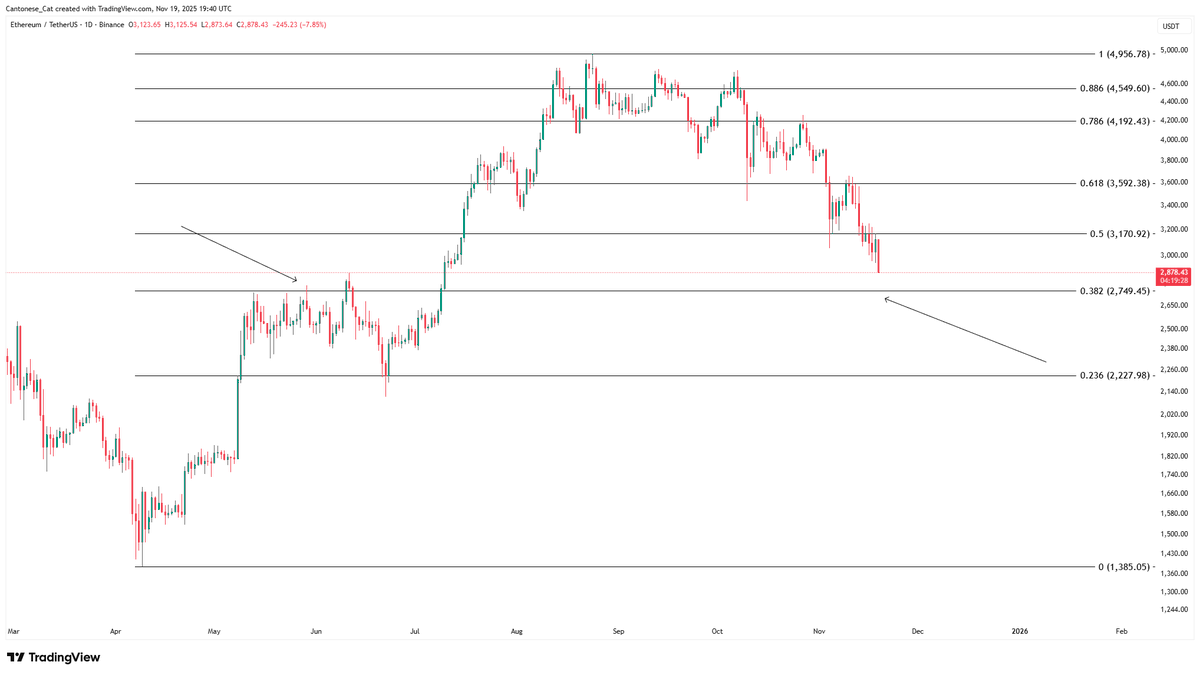 Cantonese Cat 🐱🐈 tweet media